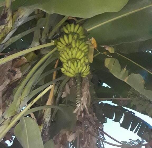 فندق Villa Delorenta