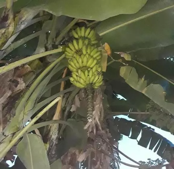 Hotelli Villa Delorenta