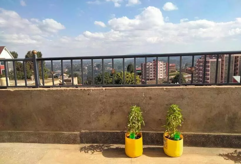 Lola S Nest Along The Highway   Free Parking, Wifi, Netflix & Rooftop Views