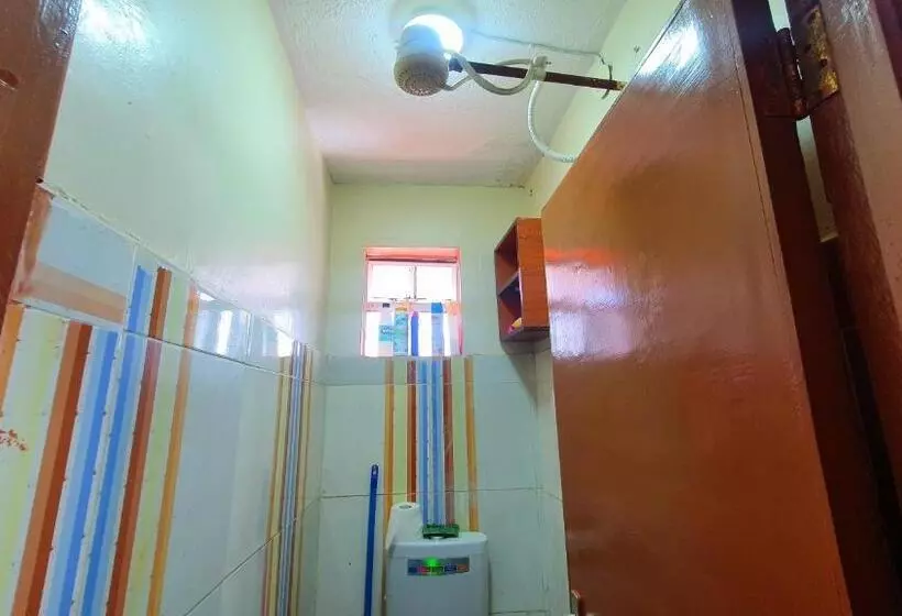 Lola S Nest Along The Highway   Free Parking, Wifi, Netflix & Rooftop Views