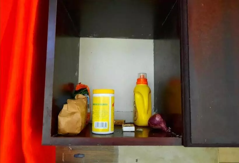Lola S Nest Along The Highway   Free Parking, Wifi, Netflix & Rooftop Views