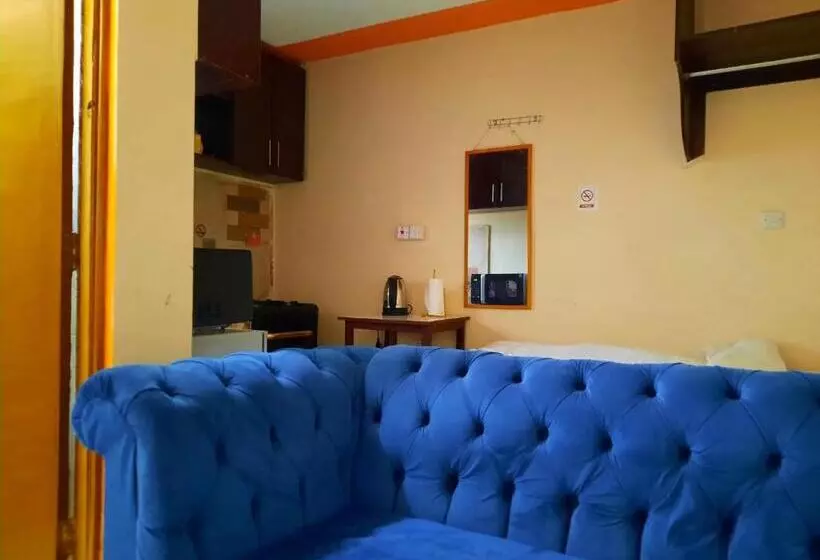 Lola S Nest Along The Highway   Free Parking, Wifi, Netflix & Rooftop Views