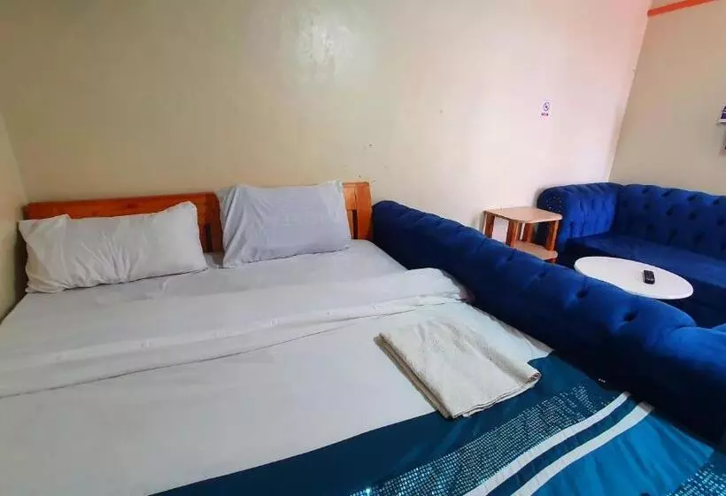 Lola S Nest Along The Highway   Free Parking, Wifi, Netflix & Rooftop Views