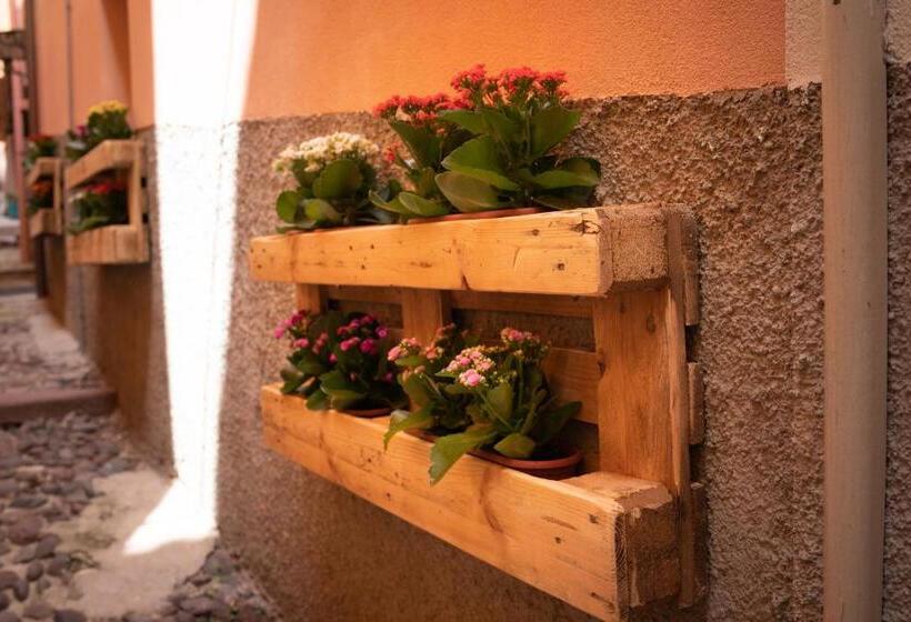 פנסיון Casa Mirto