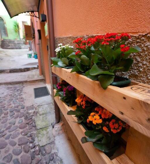 פנסיון Casa Mirto