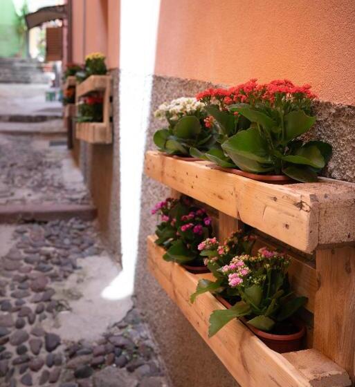 פנסיון Casa Mirto