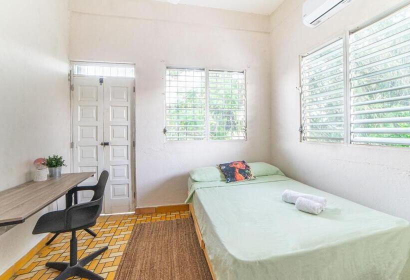 پانسیون Hostel Gato Colonial