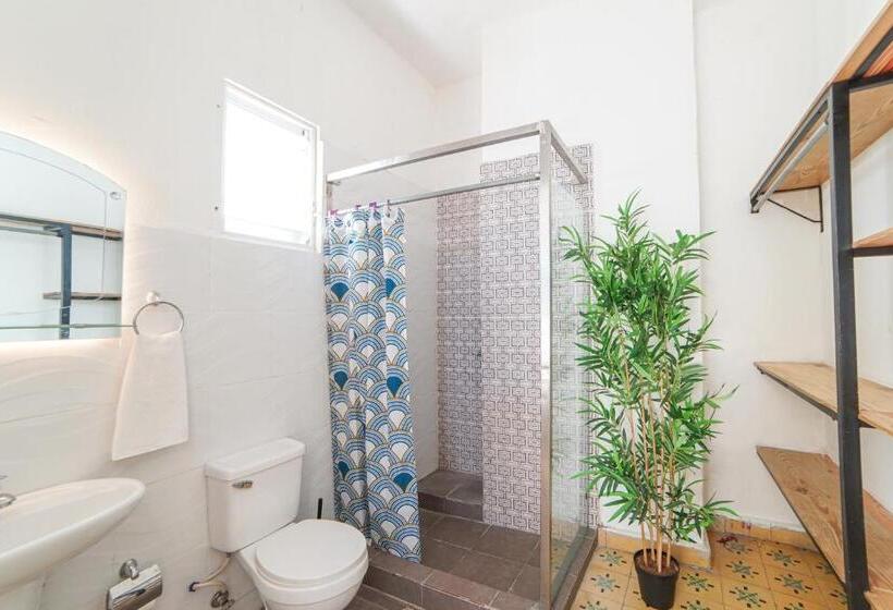 پانسیون Hostel Gato Colonial