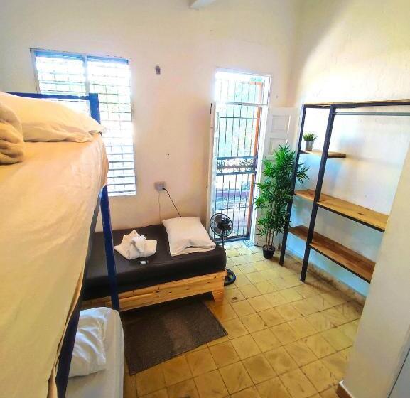 پانسیون Hostel Gato Colonial