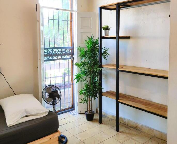 پانسیون Hostel Gato Colonial