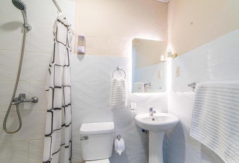 پانسیون Hostel Gato Colonial