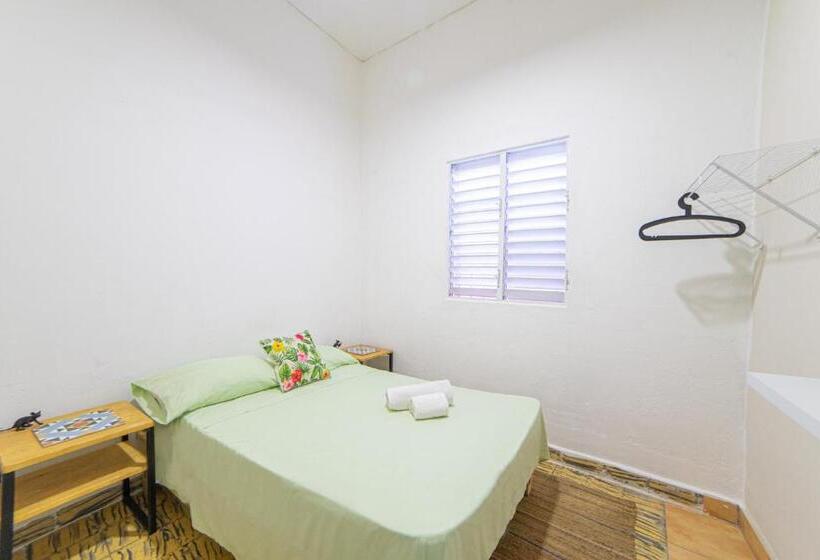 پانسیون Hostel Gato Colonial