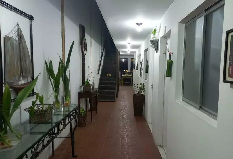 ペンション Pousada Da 13 Olinda