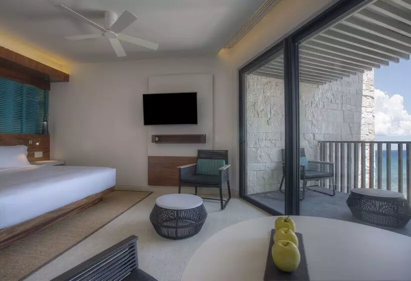 호텔 Grand Hyatt Playa Del Carmen Resort