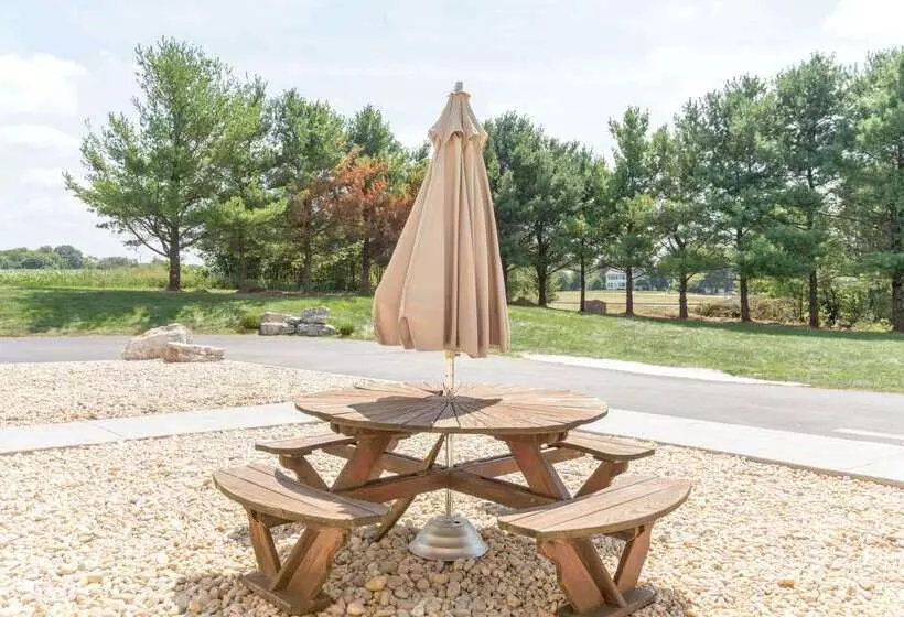 汽车旅馆 Super 8 By Wyndham Greencastle