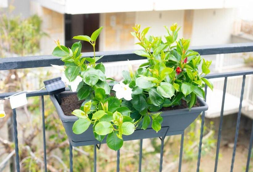 H11 Attico Al Mare   Santo Stefano Al Mare   Grande Terrazzo