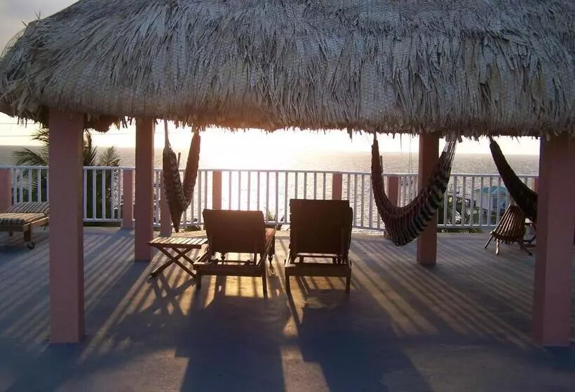 هتل Caye Caulker Condos