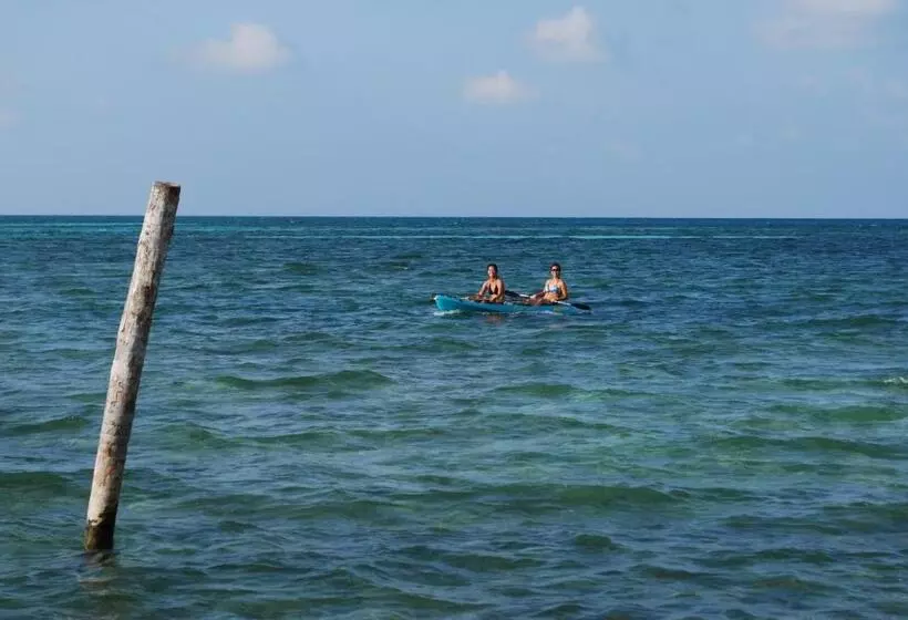 هتل Caye Caulker Condos