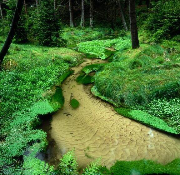 Pension U Stehlíků