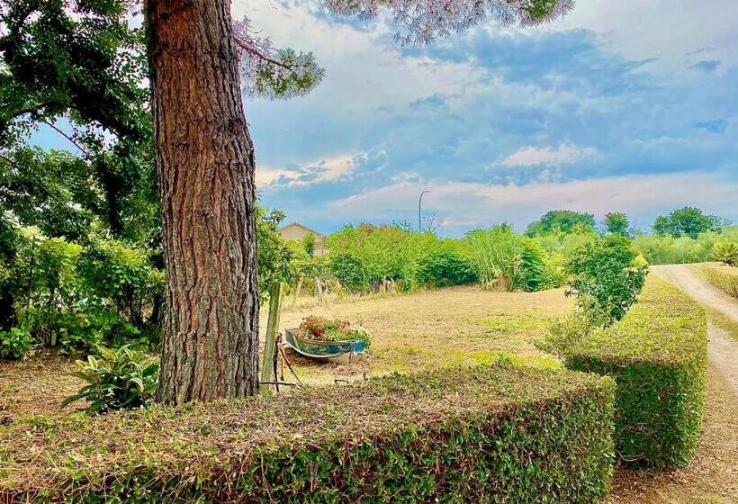 Azienda Agricola Villa Giorgio