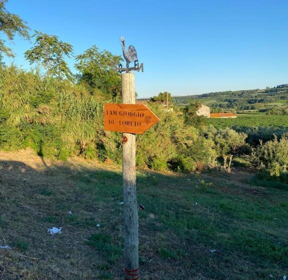 Azienda Agricola Villa Giorgio