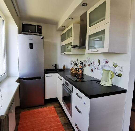 Kesklinna Silla Apartment