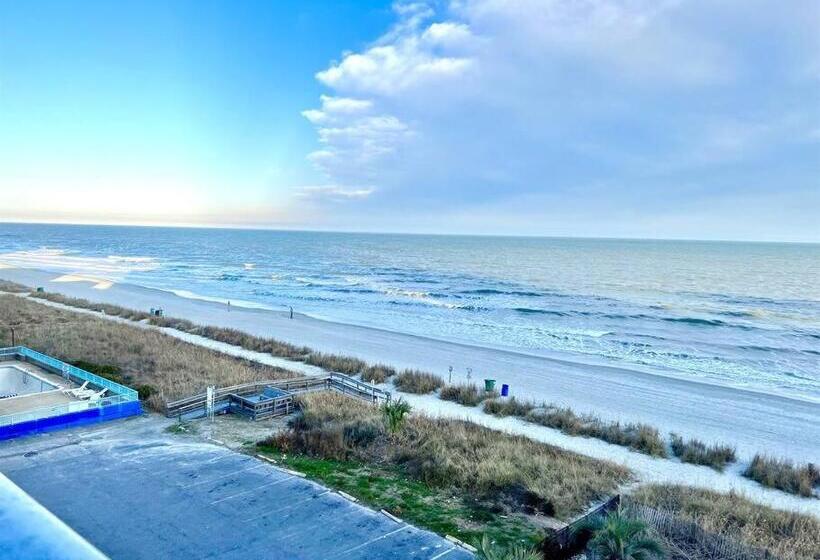 Oceanfront Fresh Renoking Bedpoolhot Tubapproved Dogsw54