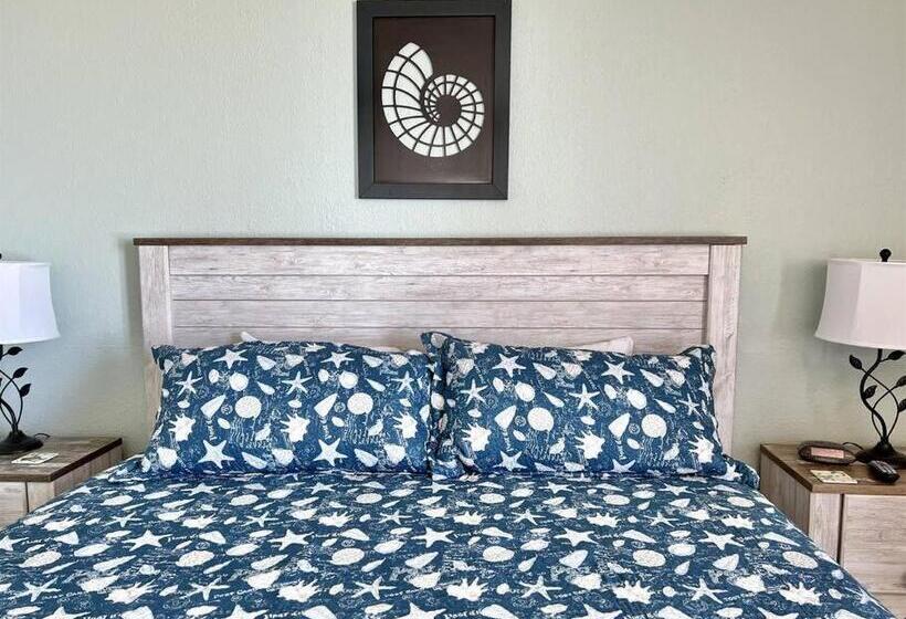 Oceanfront Fresh Renoking Bedpoolhot Tubapproved Dogsw54