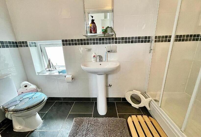 The Mermaids Watch Pendine Dog Friendly With Cymru Holidays