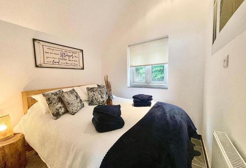 The Mermaids Watch Pendine Dog Friendly With Cymru Holidays