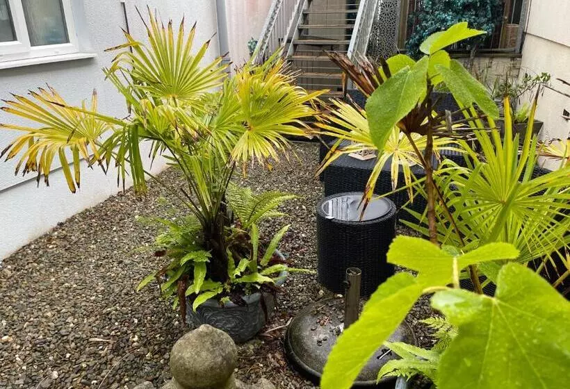 The Mermaids Watch Pendine Dog Friendly With Cymru Holidays