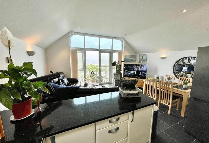 The Mermaids Watch Pendine Dog Friendly With Cymru Holidays