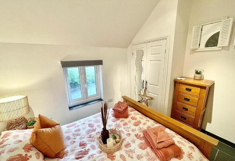 The Mermaids Watch Pendine Dog Friendly With Cymru Holidays