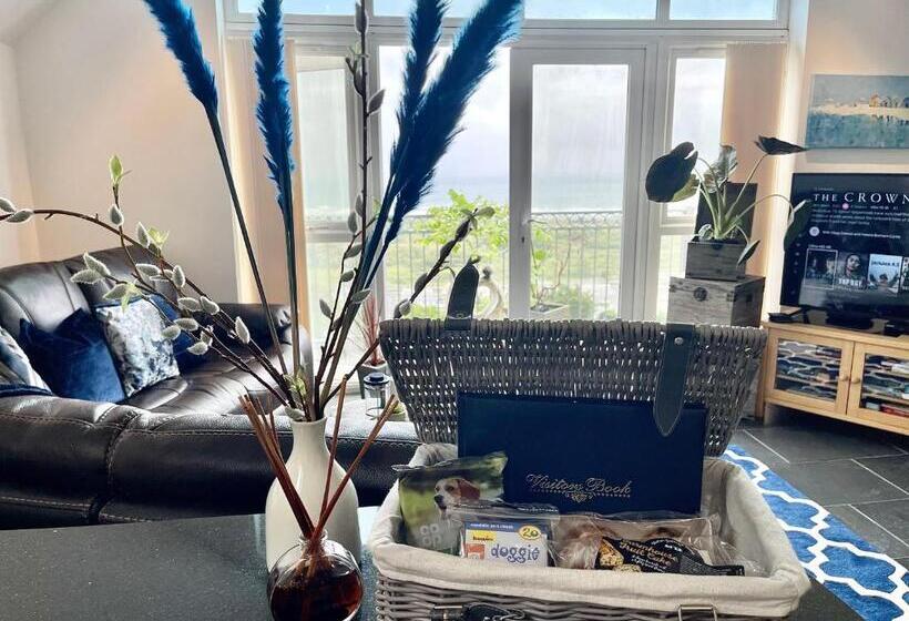 The Mermaids Watch Pendine Dog Friendly With Cymru Holidays