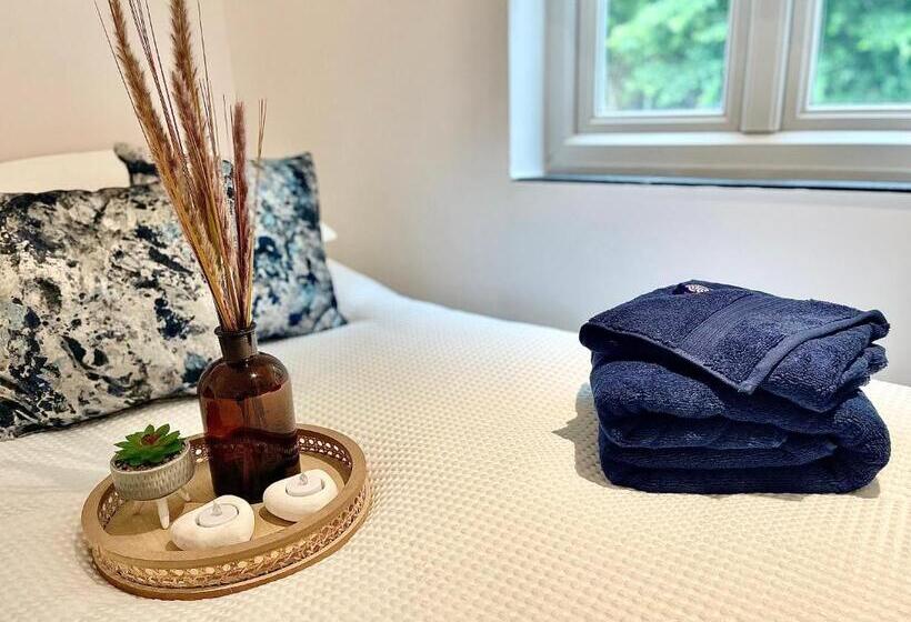 The Mermaids Watch Pendine Dog Friendly With Cymru Holidays