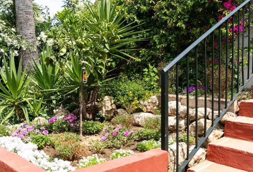 Villa Elisana