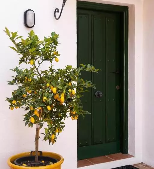 Villa Elisana