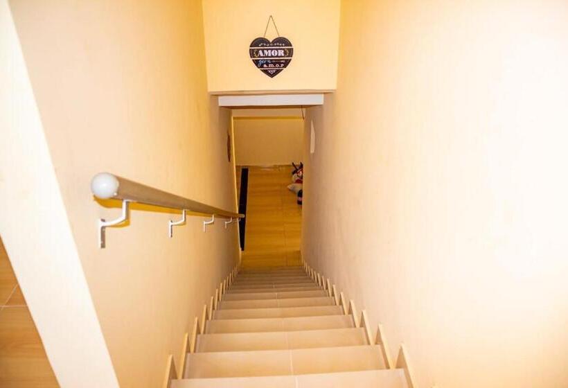 ユースホステル Pousada Estrela Da Manhã