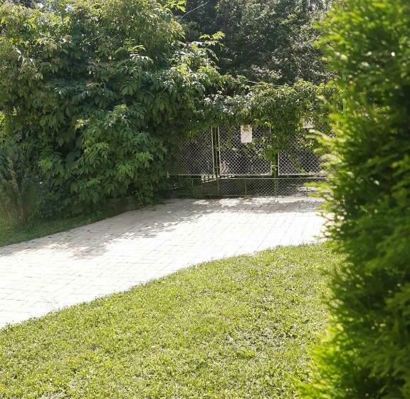 Пансион Casa Cu Flori