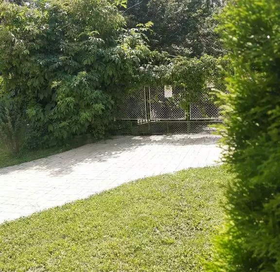 پانسیون Casa Cu Flori