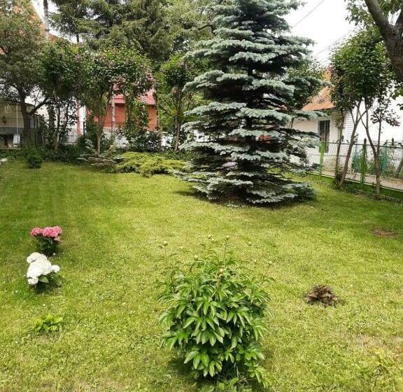 Пансион Casa Cu Flori