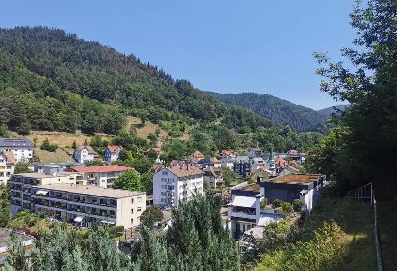Terrassenwohnung Mit Toller Aussicht & Zentrumsnah