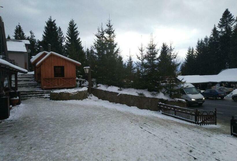 Отель беркут