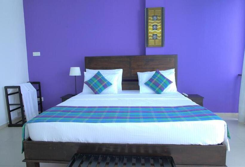 Hotel Twenty  Two Dazzle Bay