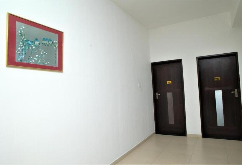 Hotel Twenty  Two Dazzle Bay