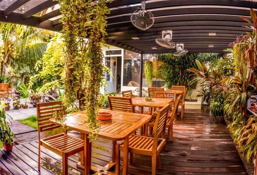 پانسیون La Cabana, Maamigili