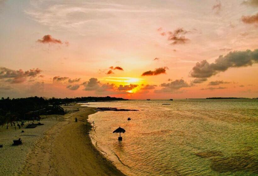 پانسیون La Cabana, Maamigili