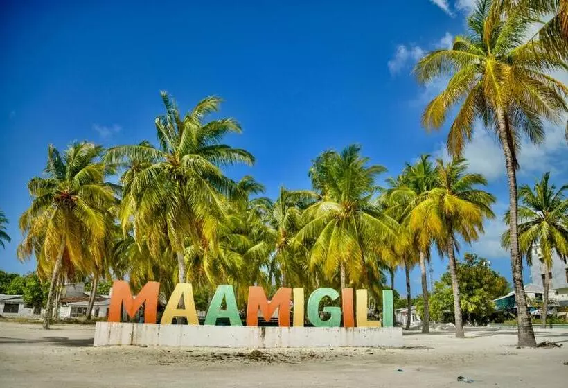 پانسیون La Cabana, Maamigili