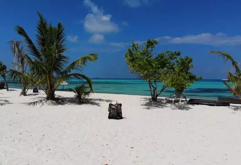 پانسیون La Cabana, Maamigili