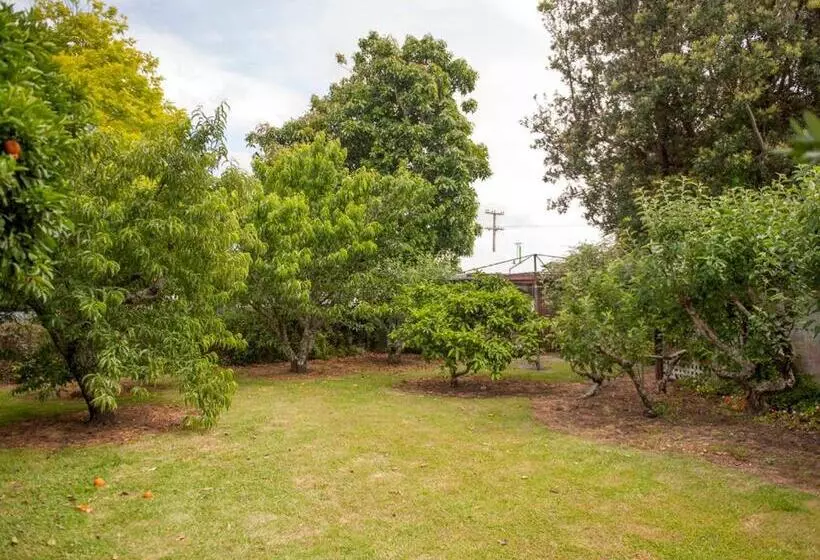 Holiday Haven   Whitianga Bach